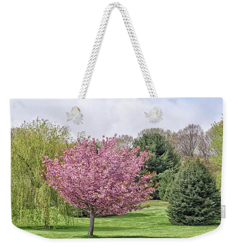 Cherry Tree Weekender Tote Bag featuring the photograph Show Off by Kathi Mirto
