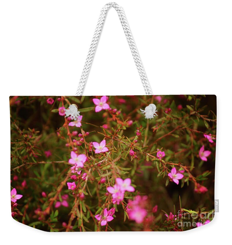 Pink Weekender Tote Bag featuring the photograph Shower of Pink by Cassandra Buckley