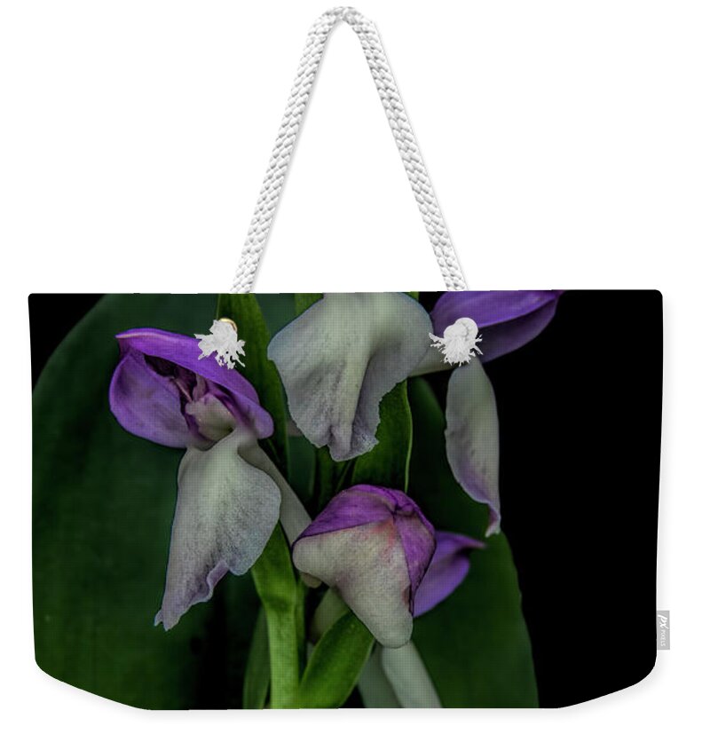 Showy Orchis Weekender Tote Bag featuring the photograph Showy Orchis by Barbara Bowen