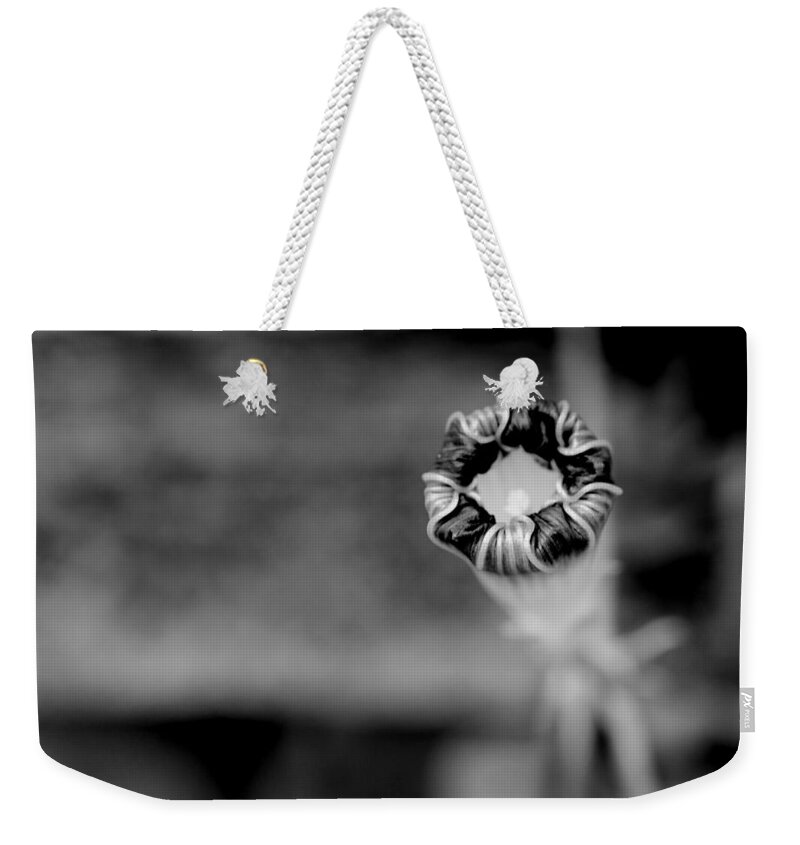 Morning Glory Weekender Tote Bag featuring the photograph Shy by Corinne Rhode