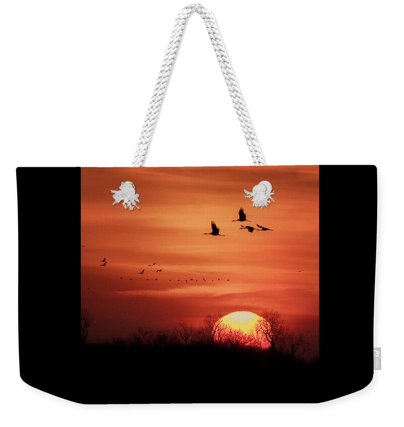 Sandhill Cranes Weekender Tote Bag featuring the photograph Sienna Skies #2 by Susan Rissi Tregoning