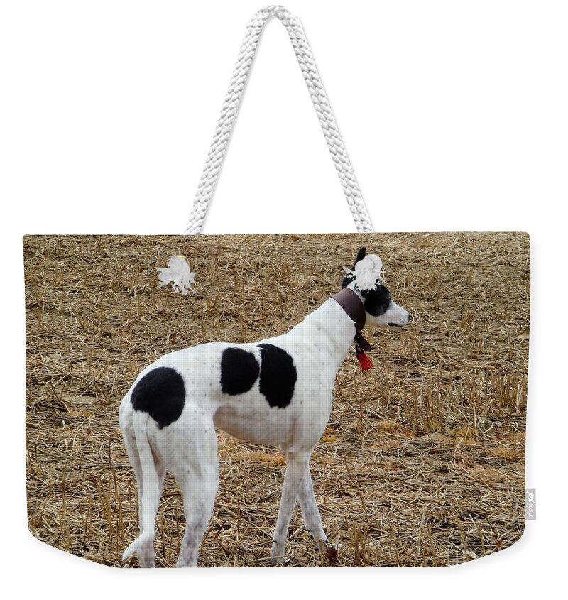 Sighthound Weekender Tote Bag featuring the photograph Sighthound by Yvonne Johnstone