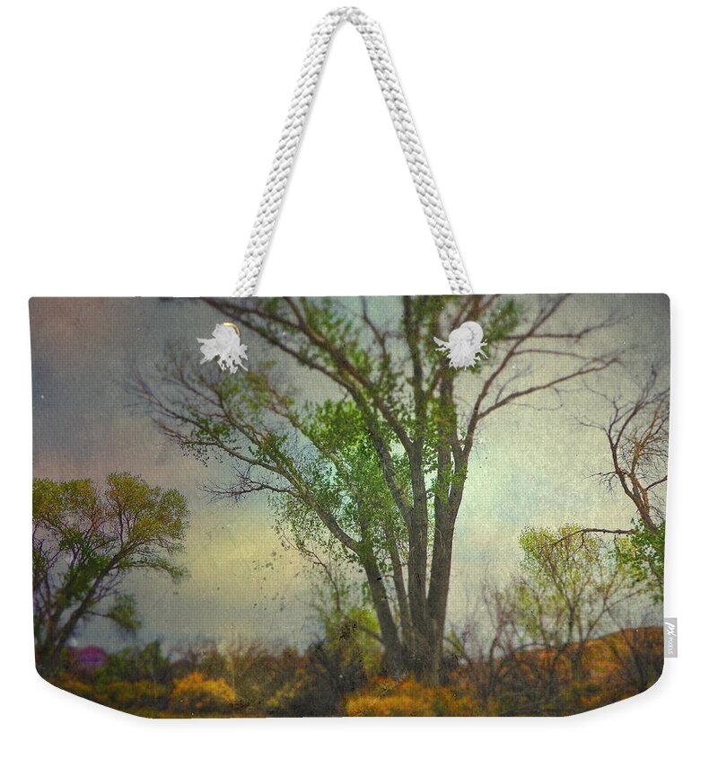 Spring Weekender Tote Bag featuring the photograph Signs by Mark Ross