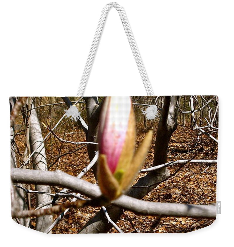 Spring Weekender Tote Bag featuring the photograph Signs of Spring by Felix Zapata