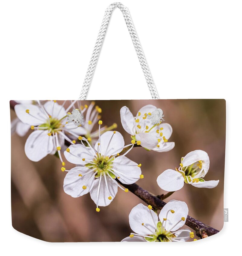 Spring Weekender Tote Bag featuring the photograph Signs of Spring by Nick Bywater
