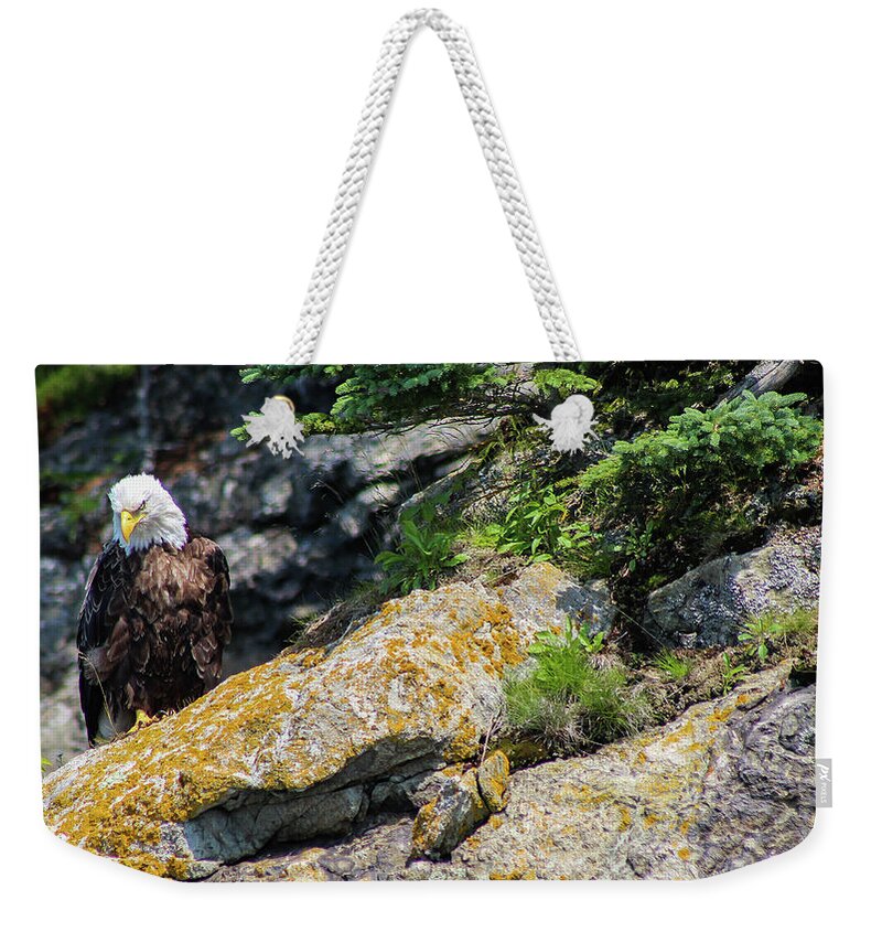 Bald Eagle Weekender Tote Bag featuring the photograph Silence by Holly Ross