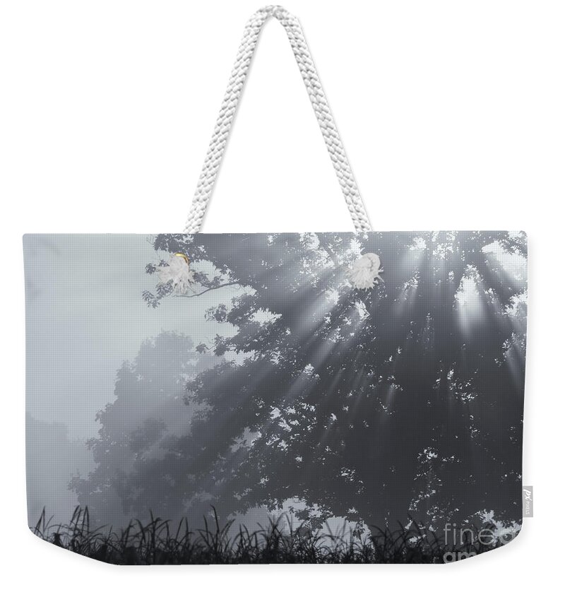 Silent Blessings Weekender Tote Bag featuring the photograph Silent Blessings by Rachel Cohen