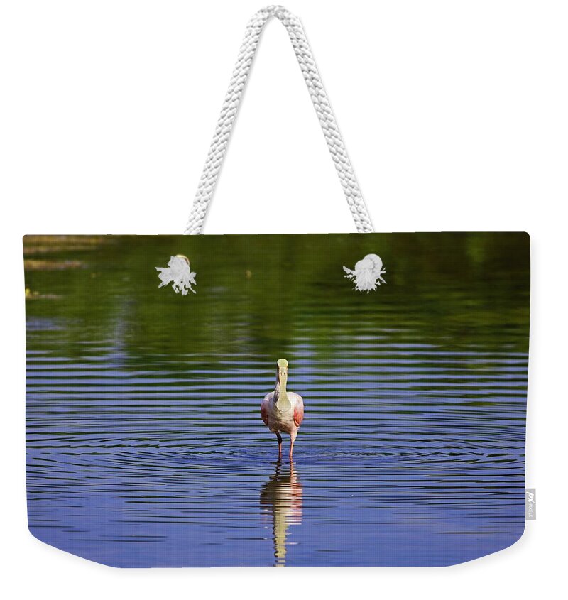 Roseate Spoonbill Weekender Tote Bag featuring the photograph Silent Craving by Michiale Schneider