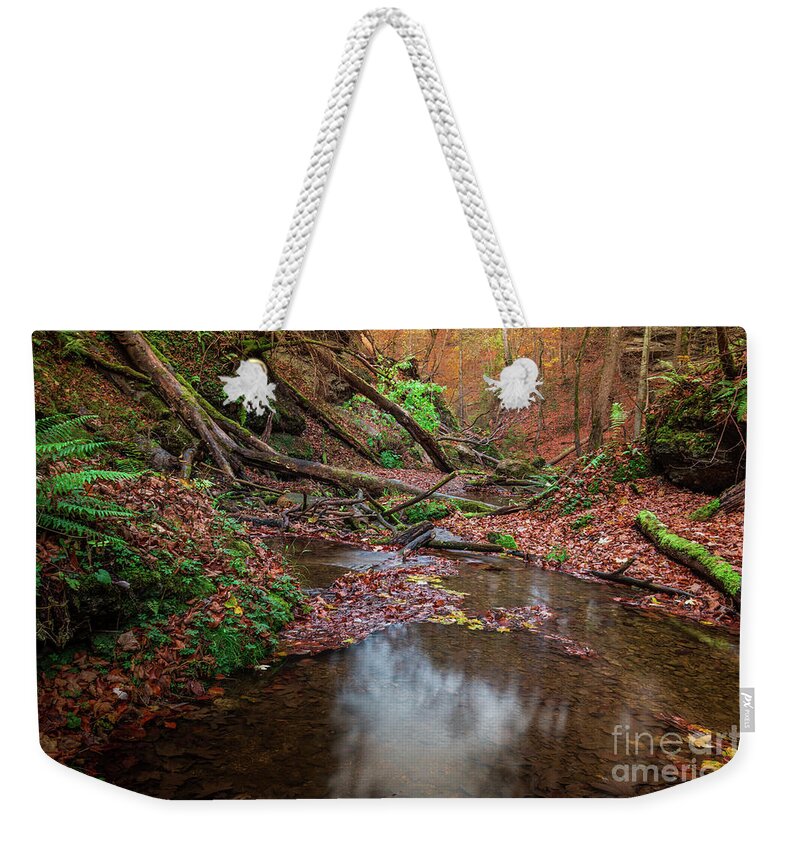 Autumn Weekender Tote Bag featuring the photograph Silent Glowing Fall by Hannes Cmarits