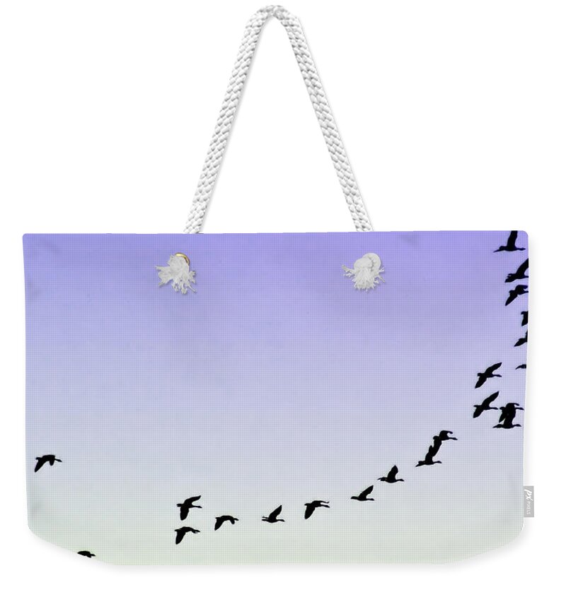 2d Weekender Tote Bag featuring the photograph Silhouetted Flight by Brian Wallace