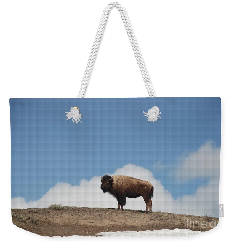 Bison Weekender Tote Bag featuring the photograph Silhuette by Jim Goodman