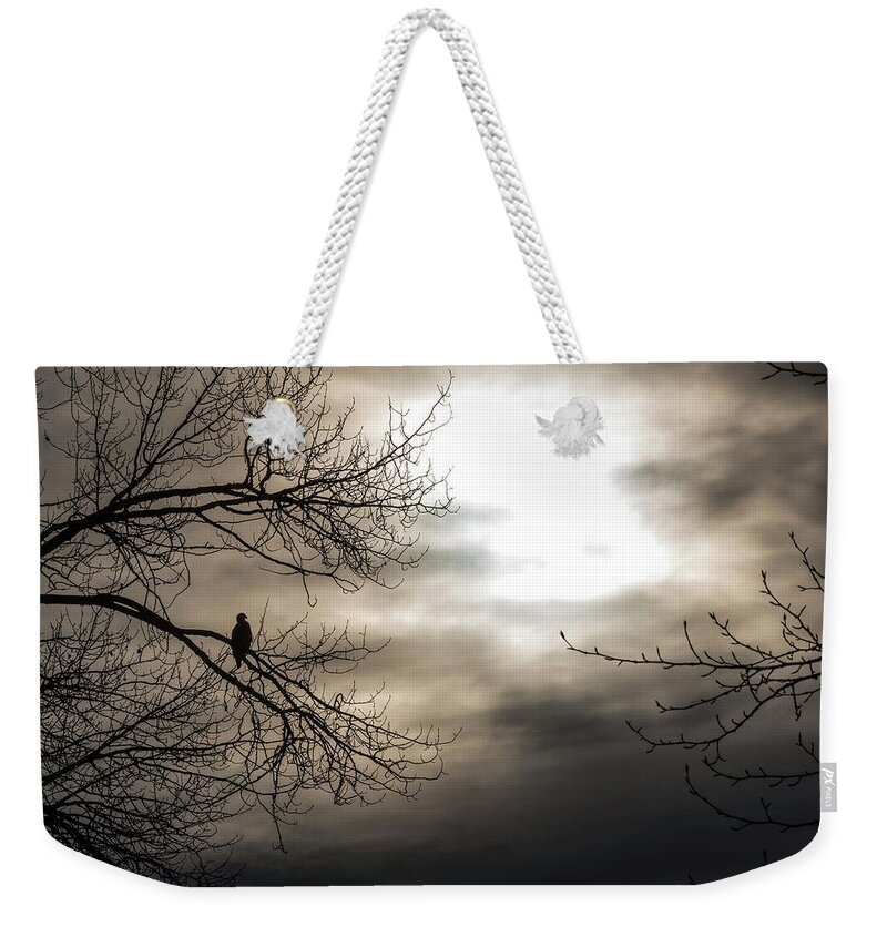 Bald Eagle Weekender Tote Bag featuring the photograph Sillouette by David Kirby
