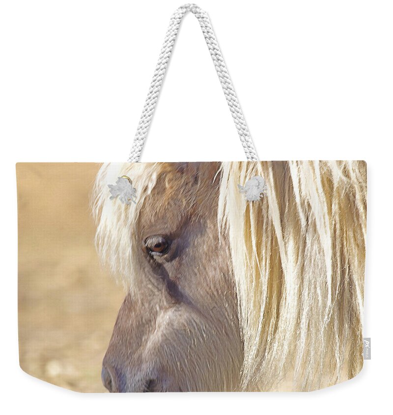  Wild Pony Weekender Tote Bag featuring the photograph Silver And Grey In Sunlight by Amanda Smith