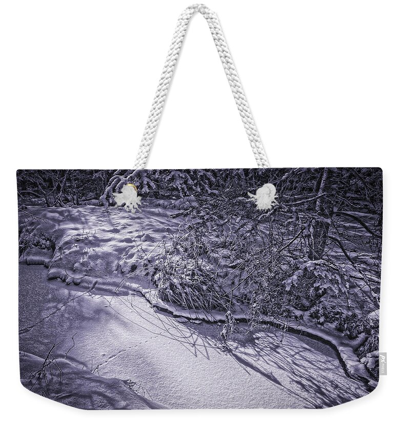 Winterscapes Weekender Tote Bag featuring the photograph Silver Brook in Winter by Gary Shepard