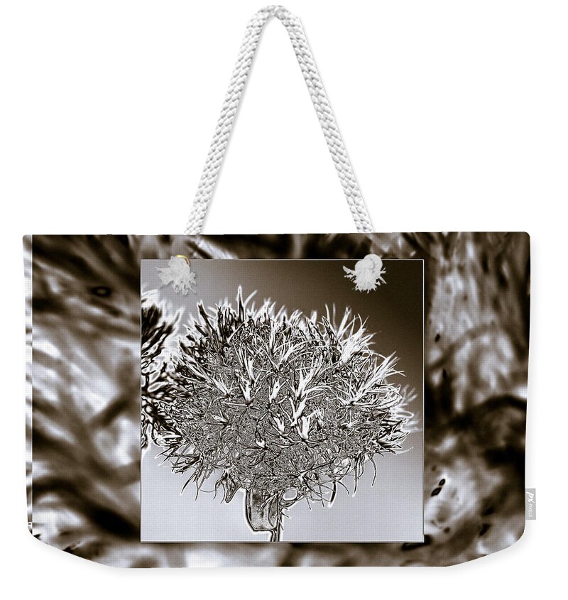 Mona Stut Weekender Tote Bag featuring the photograph Silver Thistle by Mona Stut