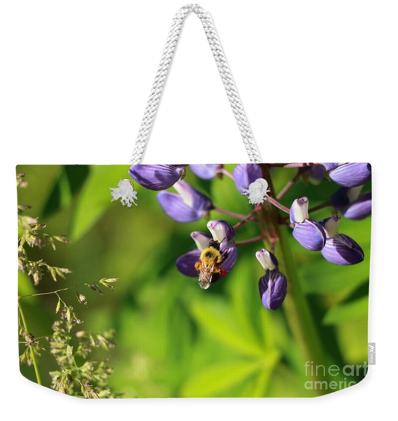 Honey Bee Weekender Tote Bag featuring the photograph Silver Wings by Elizabeth Dow