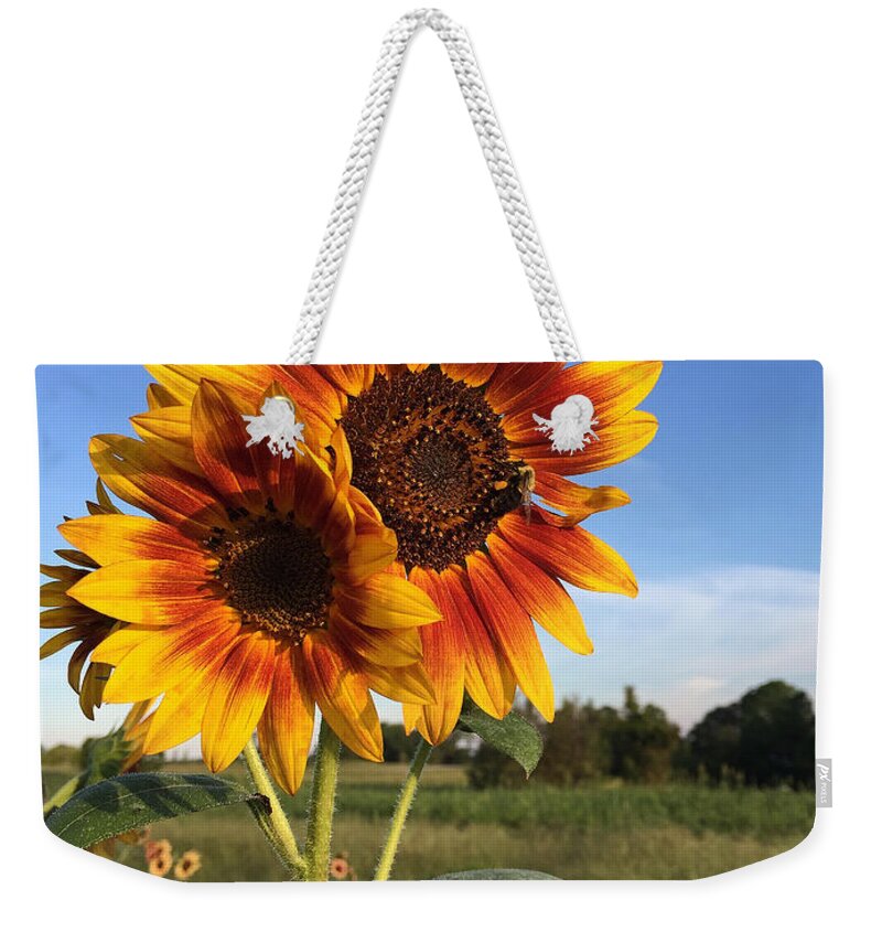 Sunflower Weekender Tote Bag featuring the photograph Sunflower Beauty by Matthew Seufer