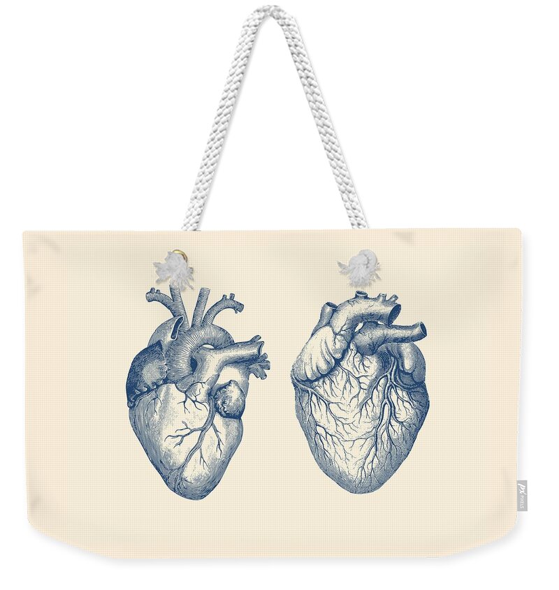 Neurology Weekender Tote Bag featuring the drawing Simple Human Heart - Dual View - Vintage Anatomy Poster by Vintage Anatomy Prints