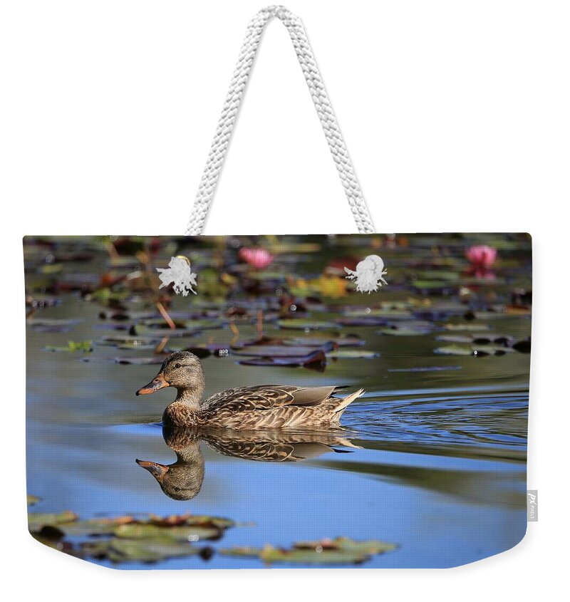 Simplicity In Nature Weekender Tote Bag featuring the photograph Simplicity in Nature by Lynn Hopwood