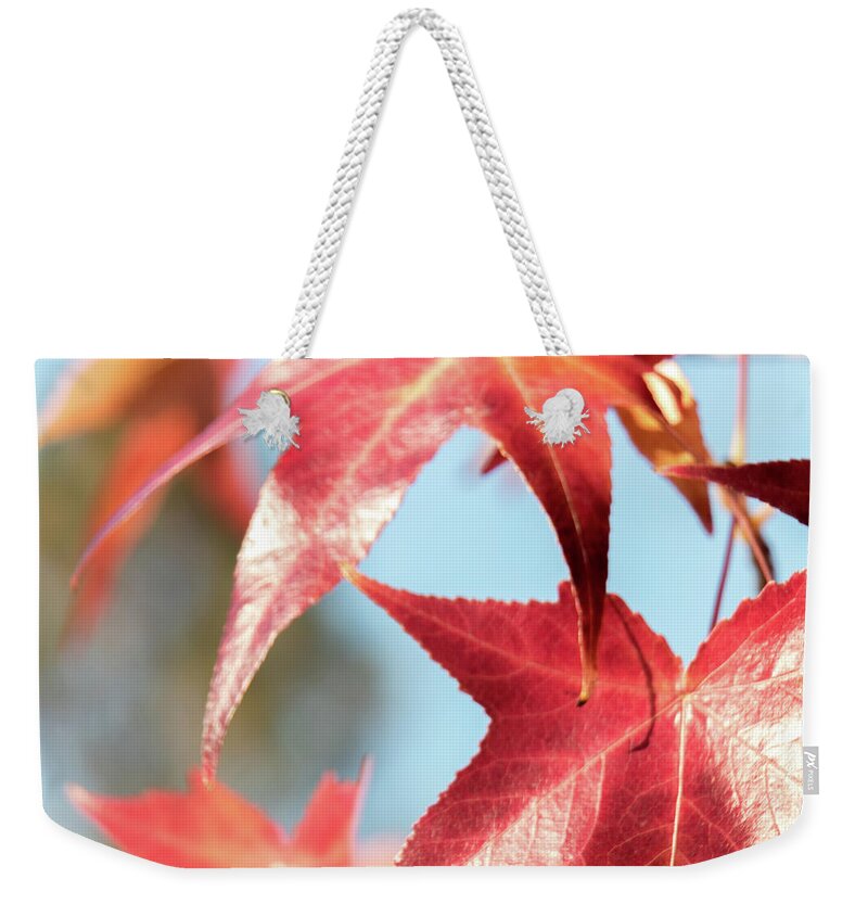 Colorful Weekender Tote Bag featuring the photograph Simply Autumn by Marnie Patchett