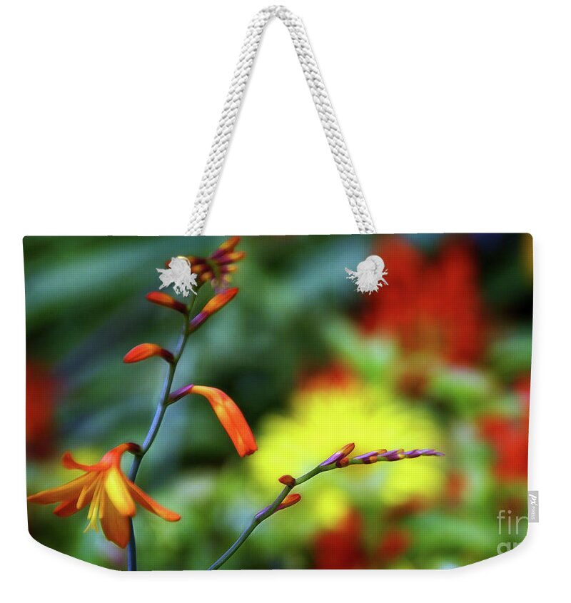 Flower Weekender Tote Bag featuring the photograph Simply Pretty by Cameron Wood