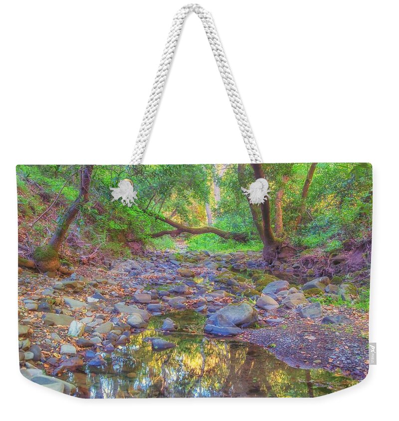 Landscape Weekender Tote Bag featuring the photograph Sinbad Creek at Pleasanton Ridge by Marc Crumpler