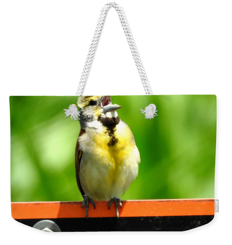 Singing Dickcissel Weekender Tote Bag featuring the photograph Singing Dickcissel by Kathy M Krause