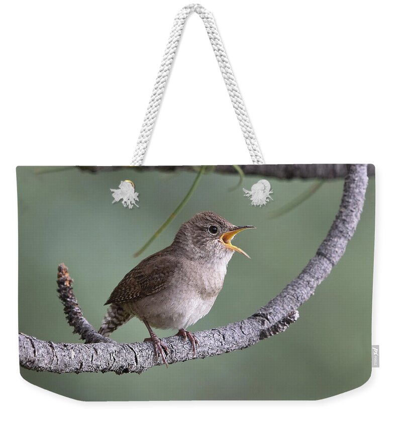 Wren Weekender Tote Bag featuring the photograph Singing House Wren by Ben Foster