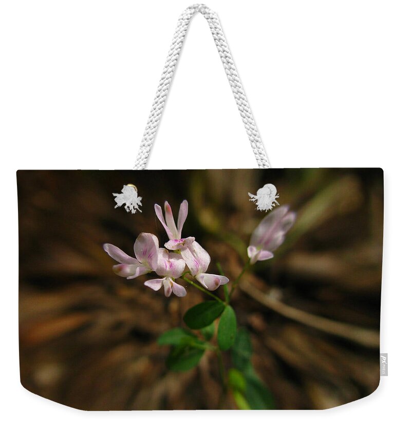 Flowers Weekender Tote Bag featuring the digital art Singing Quartet and the Soloist by Donna Brown
