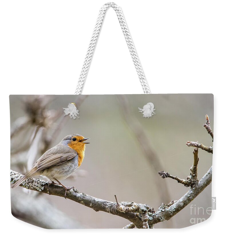 Singing Robin Weekender Tote Bag featuring the photograph Singing Robin by Torbjorn Swenelius