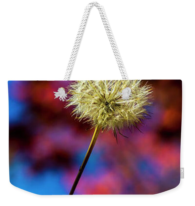 Flower Weekender Tote Bag featuring the photograph Single dandelion by Sheila Smart Fine Art Photography