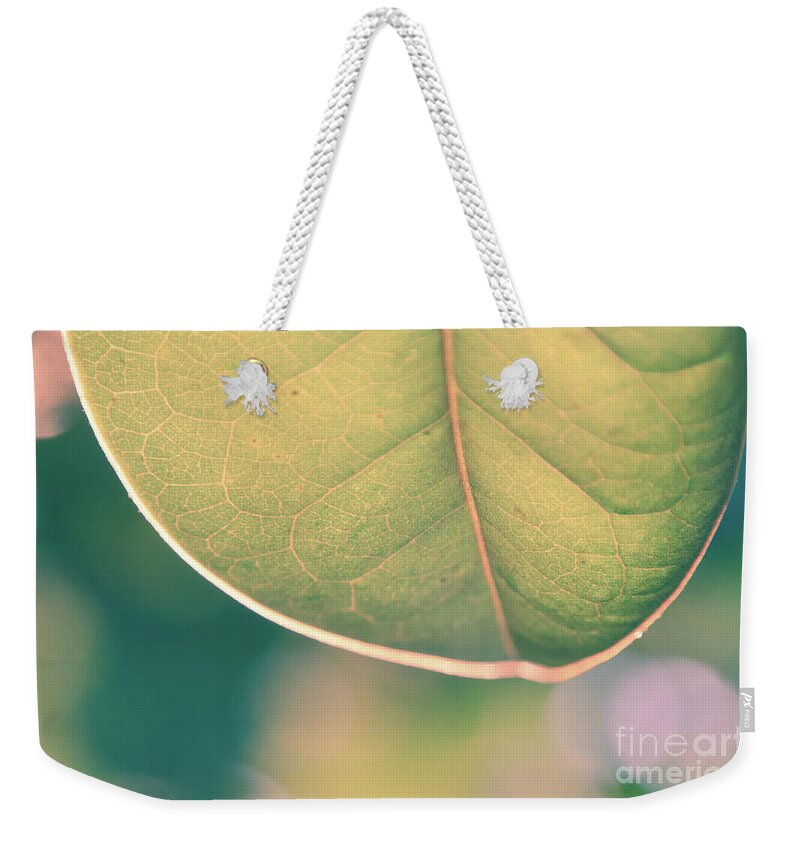 Macro Weekender Tote Bag featuring the photograph Single Leaf by Andrea Anderegg