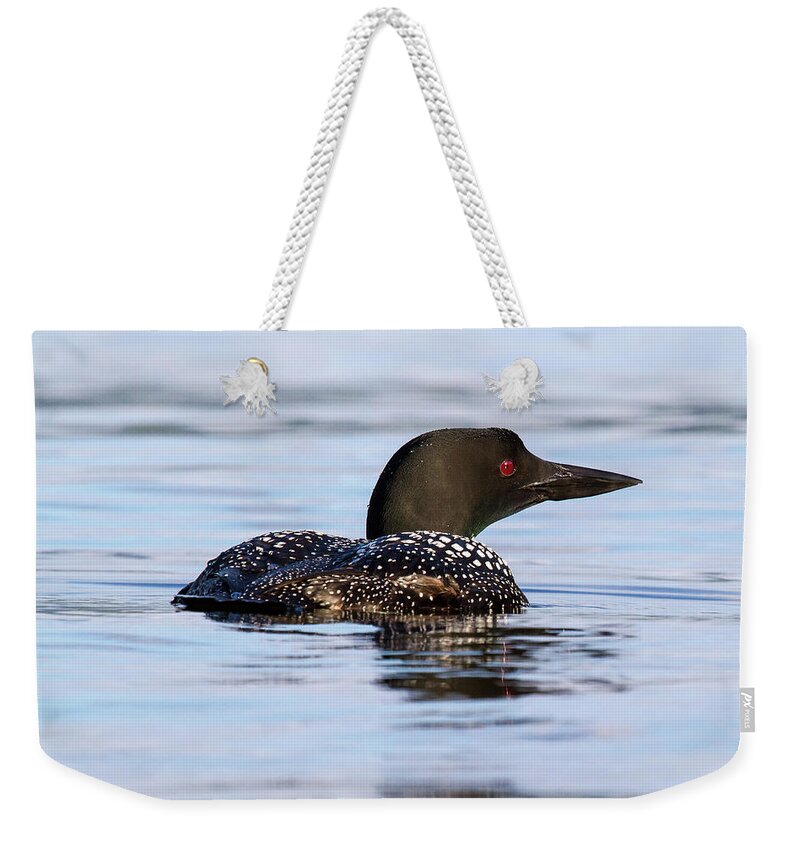 Bird Weekender Tote Bag featuring the photograph Single Loon by Darryl Hendricks