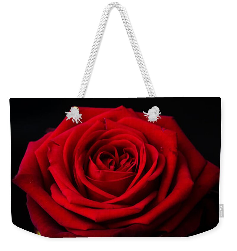 Rose Weekender Tote Bag featuring the photograph Single Rose by Miguel Winterpacht