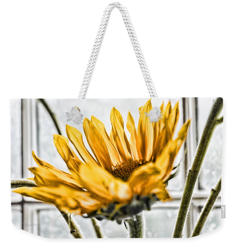Sharon Popek Weekender Tote Bag featuring the photograph Single Sunflower by Sharon Popek