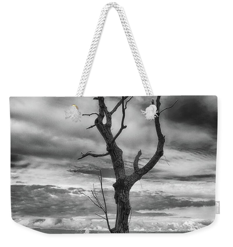 Black And White Weekender Tote Bag featuring the photograph Single Tree In Black and White by Dawn Gari