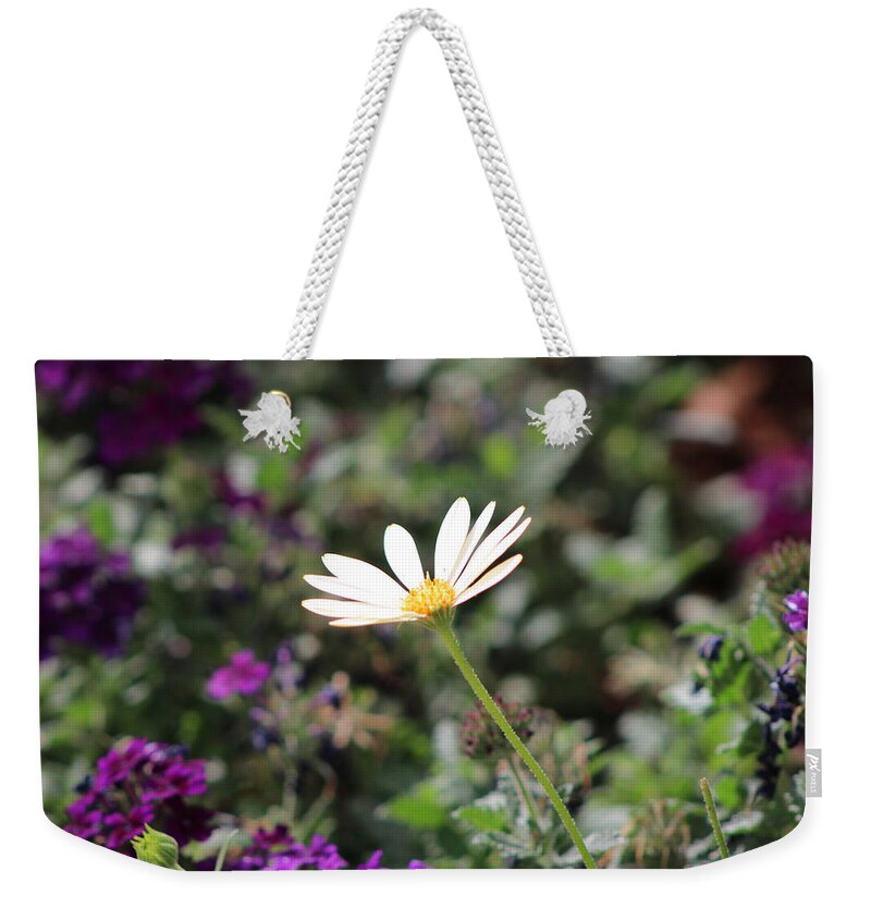 California Desert Weekender Tote Bag featuring the photograph Single White Daisy on Purple by Colleen Cornelius