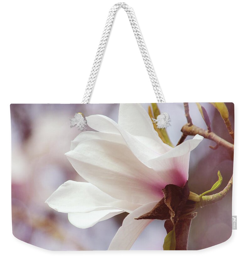 Single White Magnolia Weekender Tote Bag featuring the photograph Single White Magnolia by Jordan Blackstone
