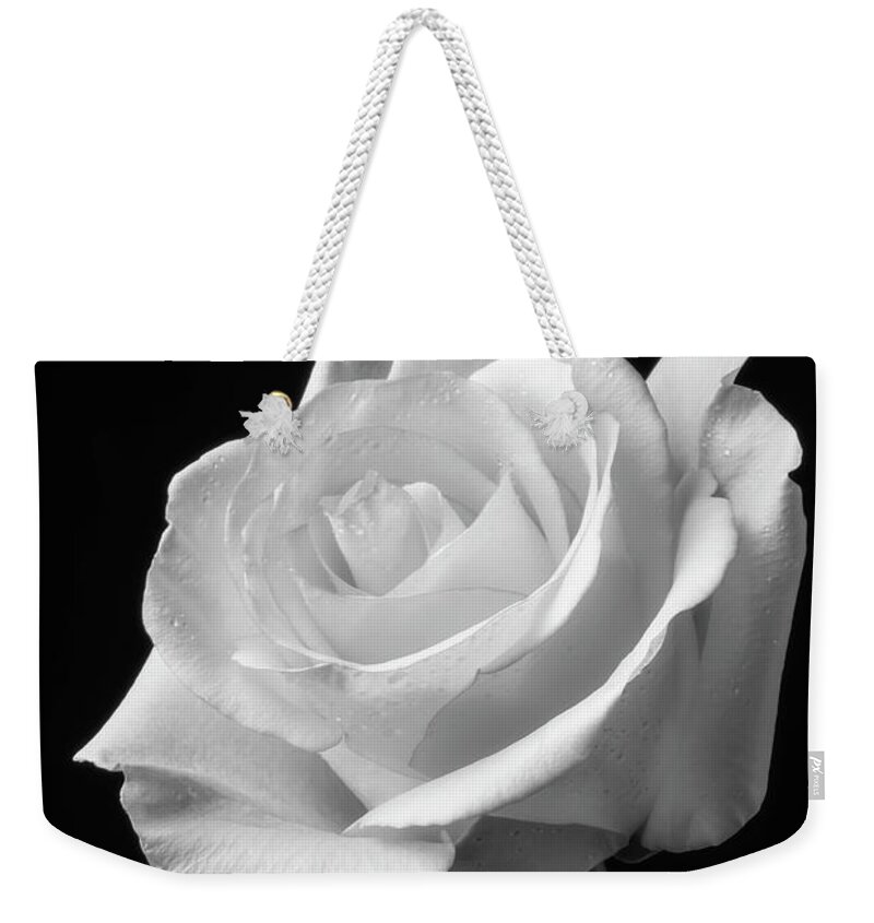 Rose Weekender Tote Bag featuring the photograph Single White Rose Black And White by Garry Gay