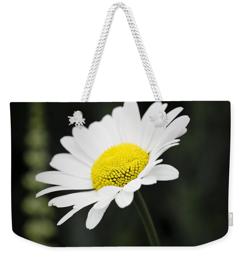 Flower Weekender Tote Bag featuring the photograph Single wild daisy by Simon Bratt