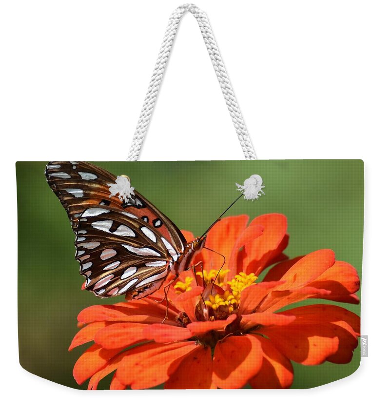 Gulf Fritillary Weekender Tote Bag featuring the photograph Sipping Nectar by Chip Gilbert