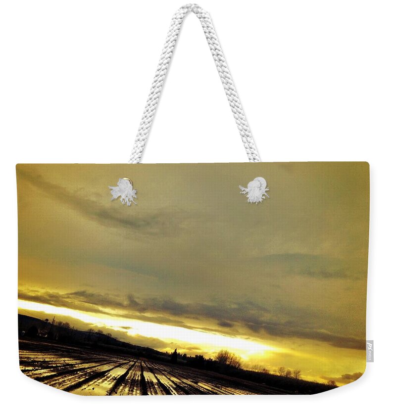 Sun Weekender Tote Bag featuring the photograph Siren by Chris Dunn