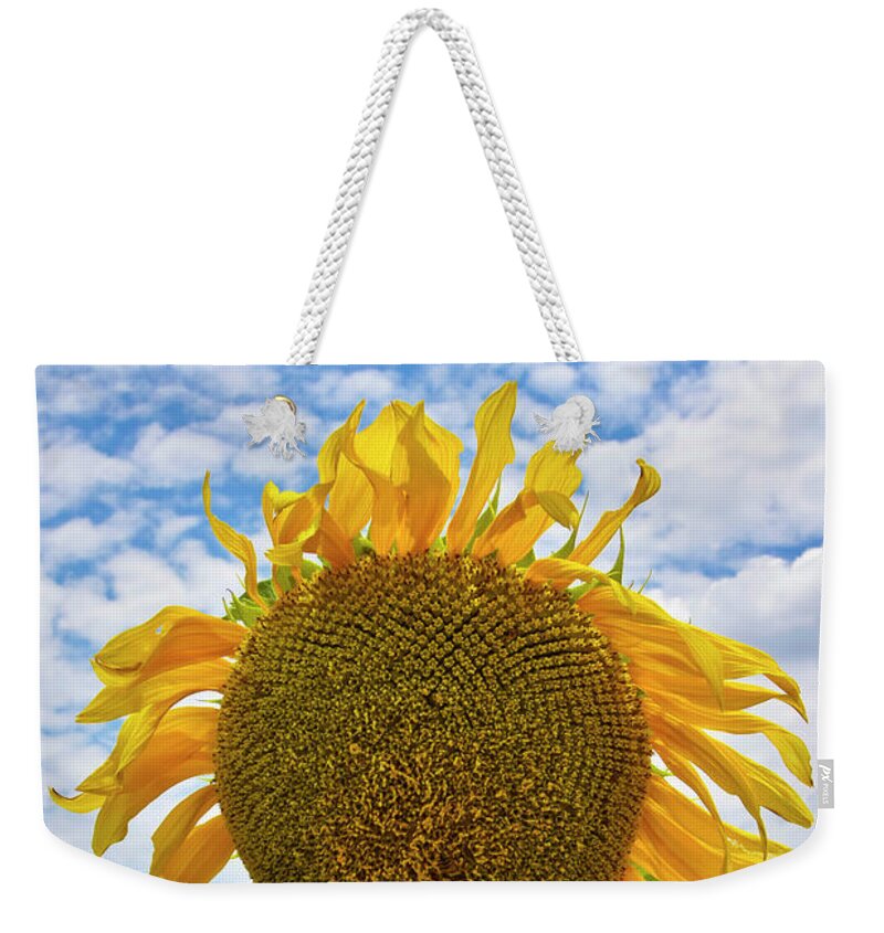 Sister Golden Hair Weekender Tote Bag featuring the photograph Sister Golden Hair by Skip Hunt