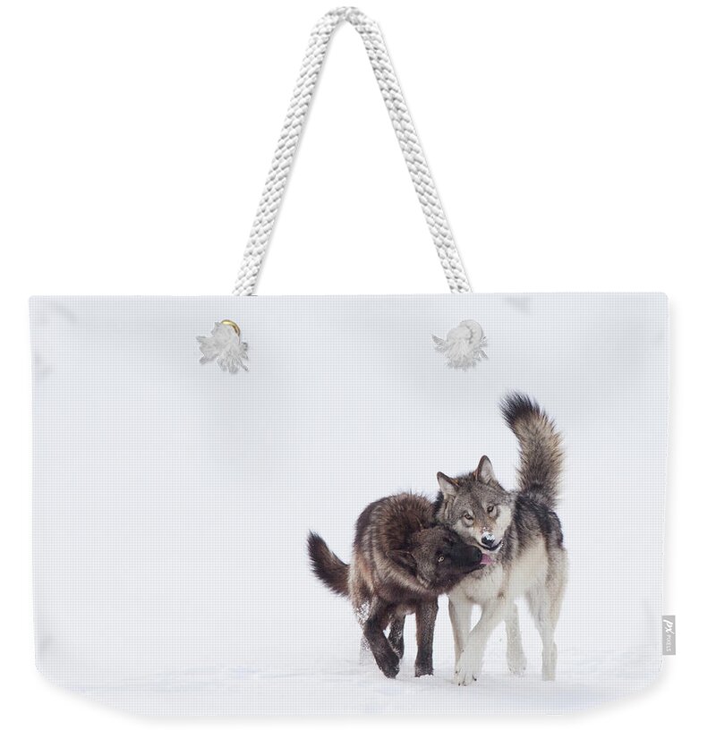 Travel Weekender Tote Bag featuring the photograph Sisters by Eilish Palmer