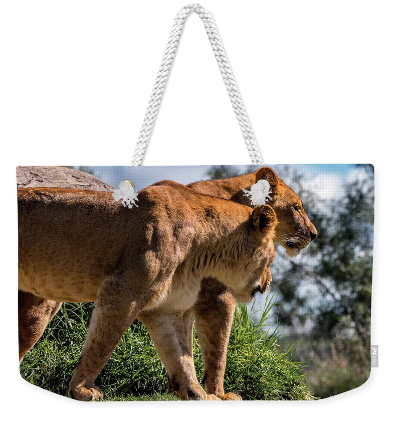 Lion Weekender Tote Bag featuring the photograph Sister's Overlook by American Landscapes