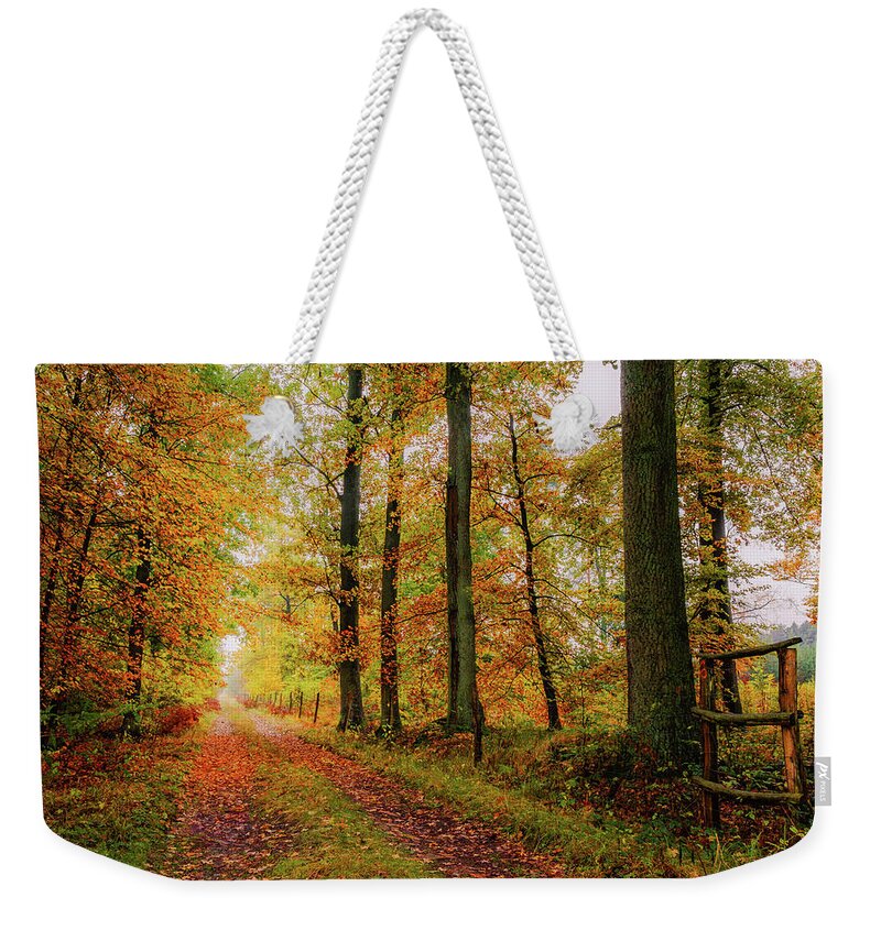 Europe Weekender Tote Bag featuring the photograph Site 6 by Dmytro Korol
