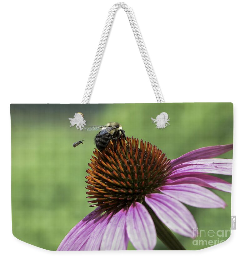Bee Weekender Tote Bag featuring the photograph Size Matters by Andrea Silies