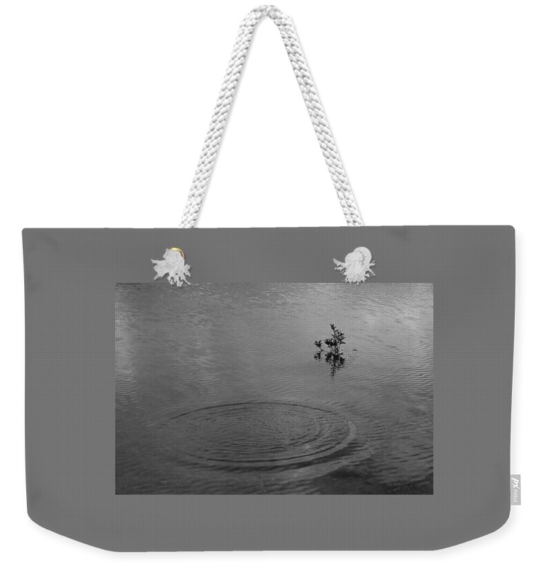 Ringlets Weekender Tote Bag featuring the photograph SKC 3991 I Shall Embrace You Now by Sunil Kapadia