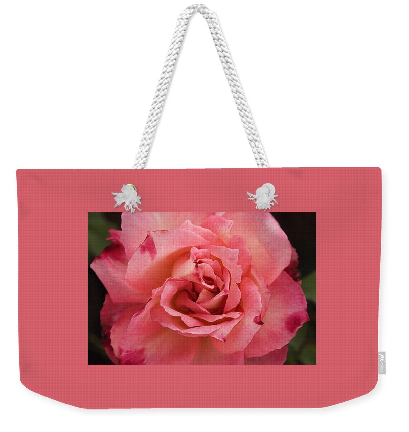 Pink Weekender Tote Bag featuring the photograph SKC 4942 Pink Harmony by Sunil Kapadia