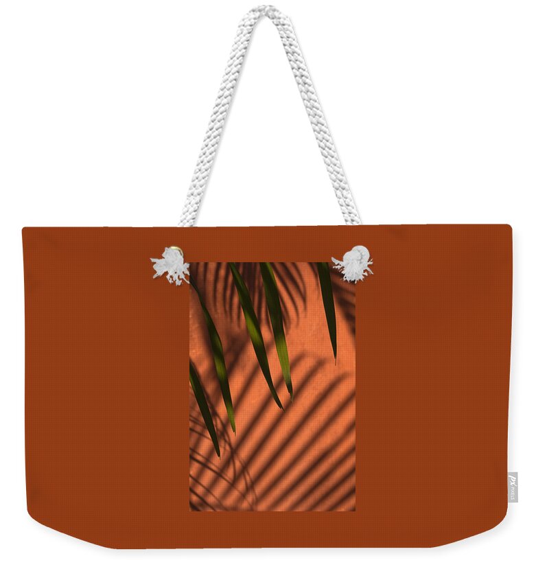 Stripes Weekender Tote Bag featuring the photograph SKC 5521 Stripes by Sunil Kapadia